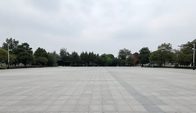 如何提升网络性能？网络工程的关键因素有哪些？